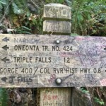 A most colorful sign. Narnia??