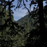 One cool feature in here is that you're hiking up a side canyon and get some views that way.
