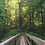 Lovely bridge.
