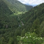 On the way up Elk Mountain.