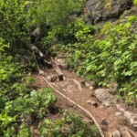 Looking back up the rope section.