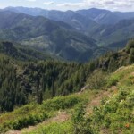 Along the summit of Kings Mountain