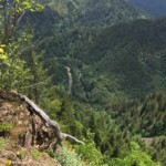 See the road? It's a little steep.
