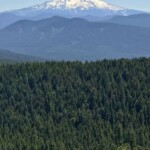 Mount Hood from Larch Mountain.