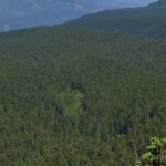 A meadow down below is on the Upper Loop described in my book. Mount Adams is in the distance.