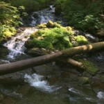 The scenery isn't just about falls and mountains.