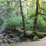 This bridge above Multnomah Falls is one of my favorite spots in the Gorge.