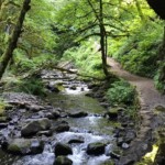 Multnomah Creek above the falls.