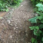 All praise the gabion and gabion makers!