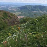 Flowers and views .. pretty much what Saddle Mountain is all about!
