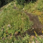 Spring on the Divide Trail
