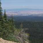 Looking east at the Columbia