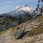 Trail at the summit.