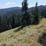 Along the Divide Trail