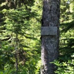 This way to the top!
