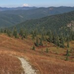 Ed's Trail winding up towards the ridge on its way to Silver Star Mountain.