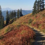 This is the jeep road headed back towards the trailhead.