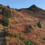 The return loop from the summit, on the other side of the ridge, is covered in color.