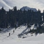 These guys were headed up Barrett Spur from Wy'East Basin.