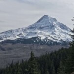 First view of Hood from Old Vista Ridge Trail on the way to Owl Point.