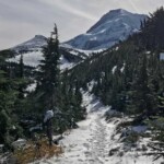 Looking up towards Hood and Wy'East Basin.