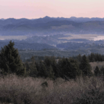 Nehalem River and Bay seen while heading down the south of Neahkhanie.
