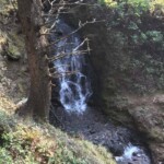 Little waterfall below the trail.