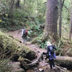 Lovely forest and skip-over creeks.