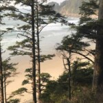 Looking down at the beach from the trail.