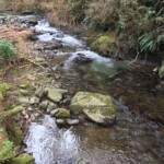 Lovely coastal creek, flowing onto Short Sands beach.