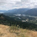 View from Little Hamilton