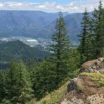 Bonneville Dam from the lunch spot on the north ridge.