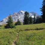 Heading up Paradise Park Trail