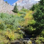 Lost Creek in Paradise Park