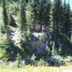 Greatest campsite ever.