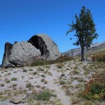 Split rock just above the Paradise Park Loop Trail.