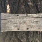 Anybody know more about this?