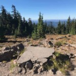 Foundation from the old cabin