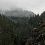 View from the top of the hill in the middle of the trail.
