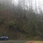 At the trailhead, obvious sign of burn but not total destruction -- theme for the day. eagle creek trail columbia river gorge oregon fire