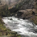 The big slide at the Punchbowl Falls viewing area. eagle creek trail columbia river gorge oregon fire