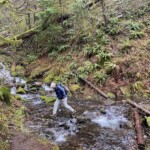 Sorenson Creek just below Punchbowl Junction is a little dicey this time of year. eagle creek trail columbia river gorge oregon fire