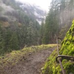 I <I>think</I> this is right in the area where the fire started. eagle creek trail columbia river gorge oregon fire