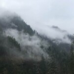 Often there's very little sign of burn. eagle creek trail columbia river gorge oregon fire